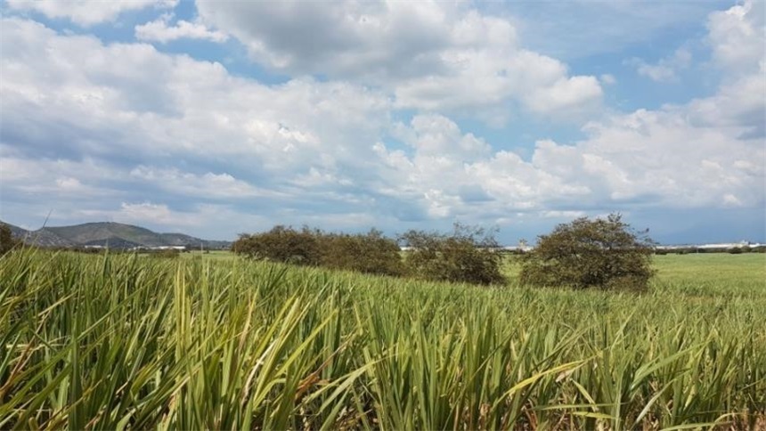 Lote en venta en Arroyohondo, Yumbo · foto 21 de 24
