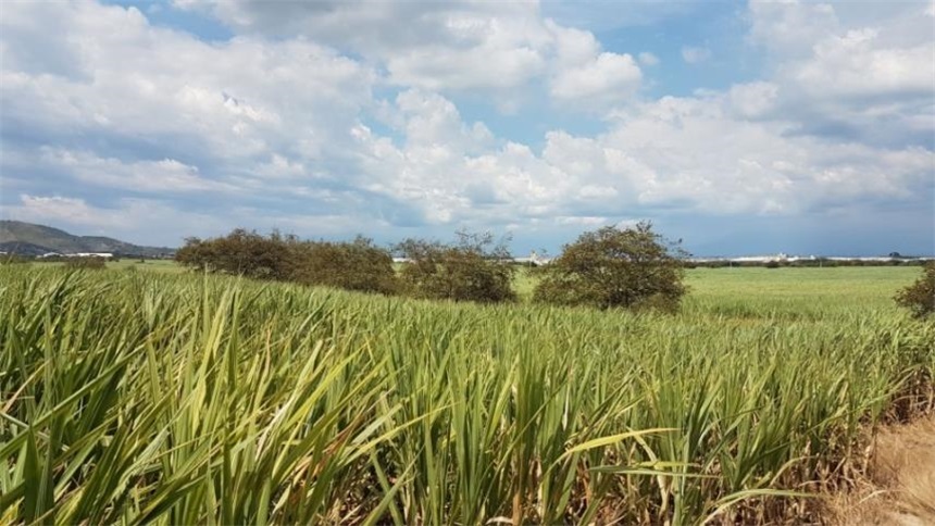 Lote en venta en Arroyohondo, Yumbo · foto 13 de 24
