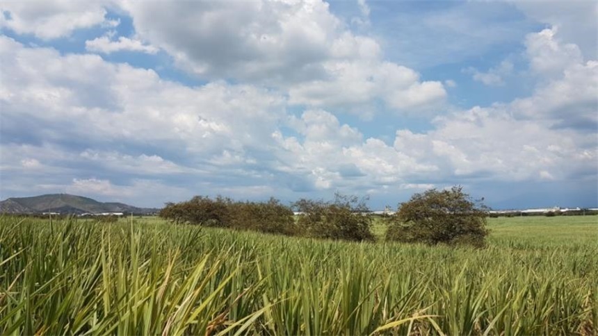 Lote en venta en Arroyohondo, Yumbo · foto 15 de 24
