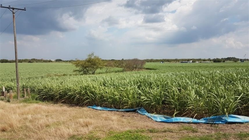 Lote en venta en Arroyohondo, Yumbo · foto 14 de 24