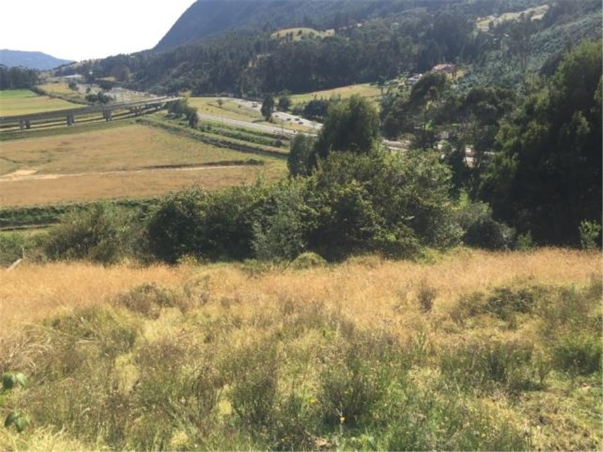 Lote en venta en Portachuelo, Zipaquirá, 2000 m² · foto 16 de 24