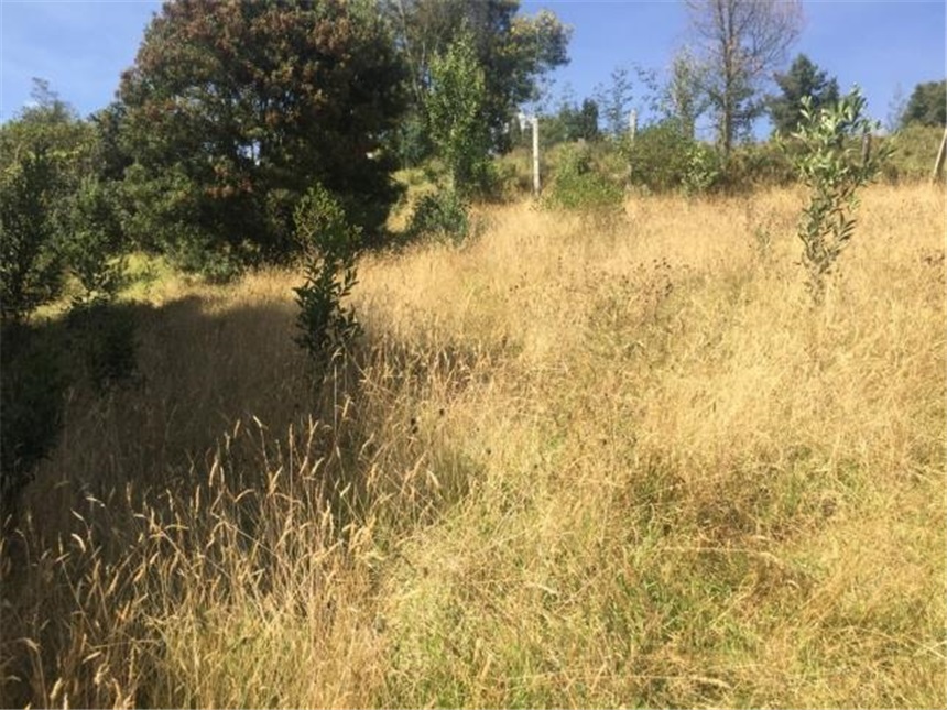 Lote en venta en Portachuelo, Zipaquirá, 2000 m² · foto 9 de 24