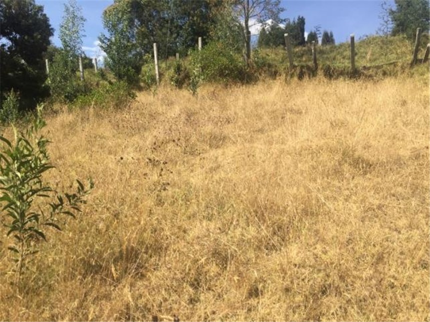 Lote en venta en Portachuelo, Zipaquirá, 2000 m² · foto 10 de 24