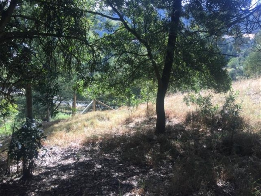 Lote en venta en Portachuelo, Zipaquirá, 2000 m² · foto 6 de 24