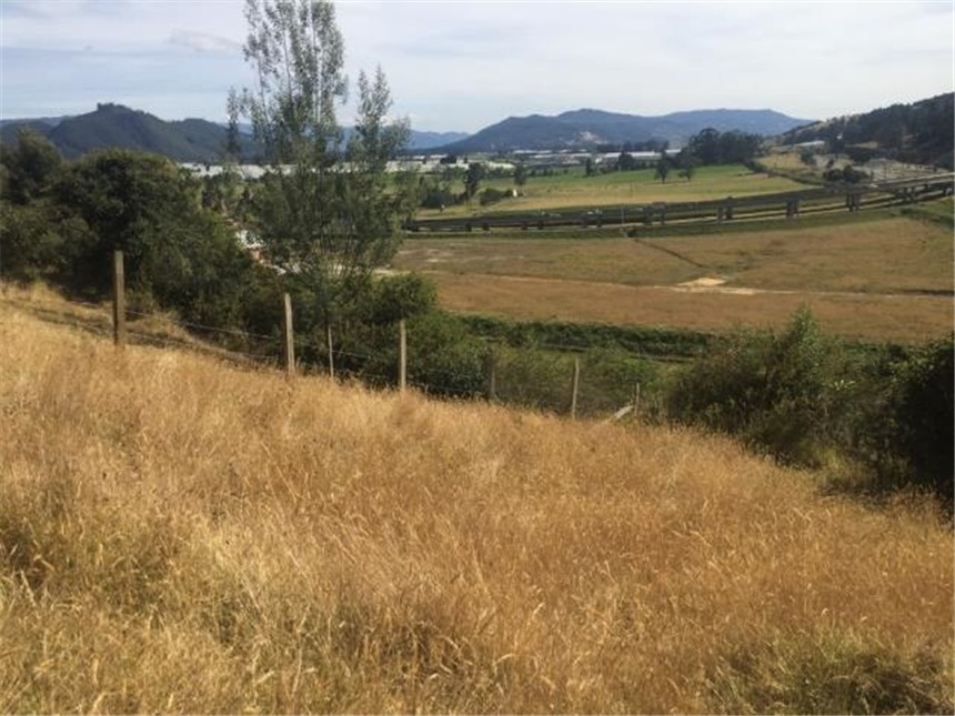 Lote en venta en Portachuelo, Zipaquirá, 2000 m² · foto 11 de 24