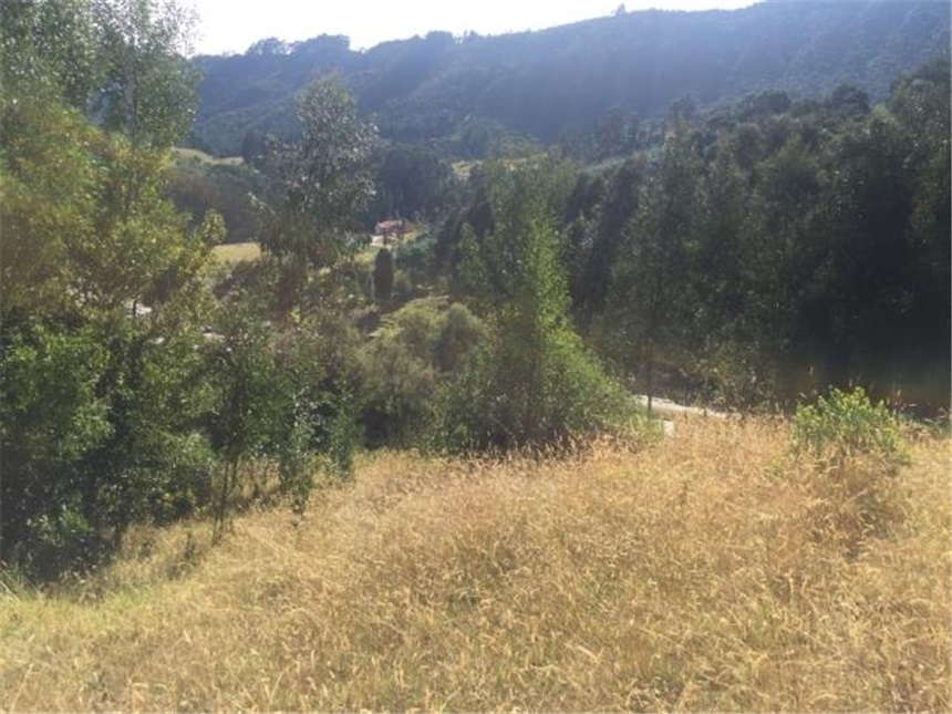 Lote en venta en Portachuelo, Zipaquirá, 2000 m² · foto 22 de 24