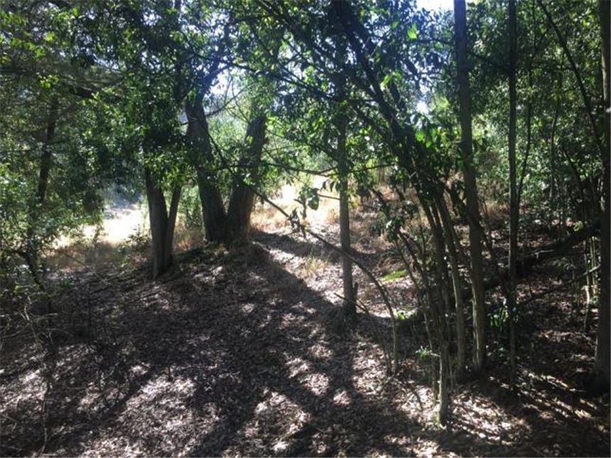 Lote en venta en Portachuelo, Zipaquirá, 2000 m² · foto 8 de 24