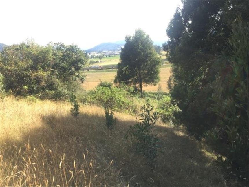 Lote en venta en Portachuelo, Zipaquirá, 2000 m² · foto 21 de 24