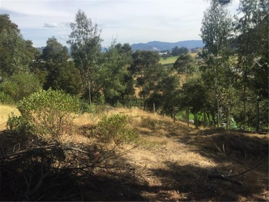 Lote en venta en Portachuelo, Zipaquirá, 2000 m² · foto 24 de 24