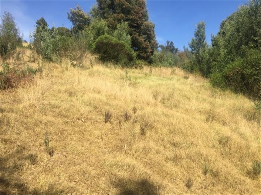 Lote en venta en Portachuelo, Zipaquirá, 2000 m² · foto 4 de 24