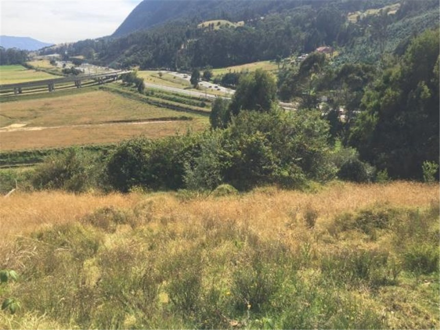 Lote en venta en Portachuelo, Zipaquirá, 2000 m² · foto 17 de 24