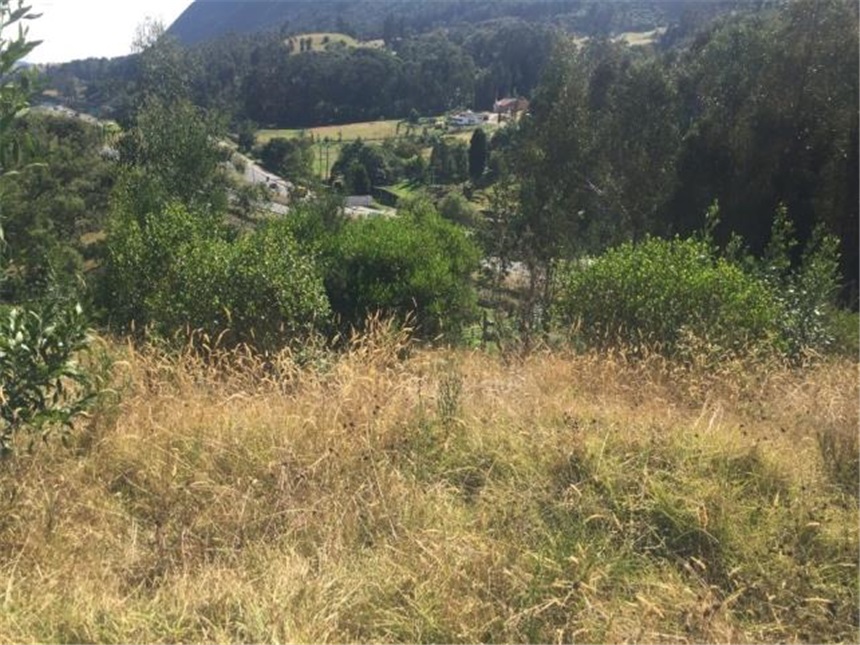 Lote en venta en Portachuelo, Zipaquirá, 2000 m² · foto 23 de 24