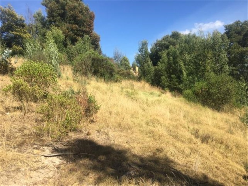 Lote en venta en Portachuelo, Zipaquirá, 2000 m² · foto 3 de 24