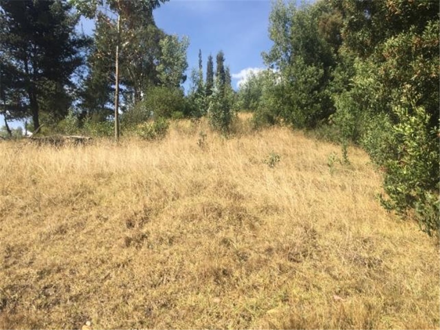 Lote en venta en Portachuelo, Zipaquirá, 2000 m² · foto 5 de 24