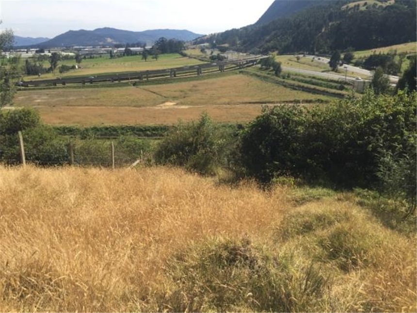 Lote en venta en Portachuelo, Zipaquirá, 2000 m² · foto 12 de 24