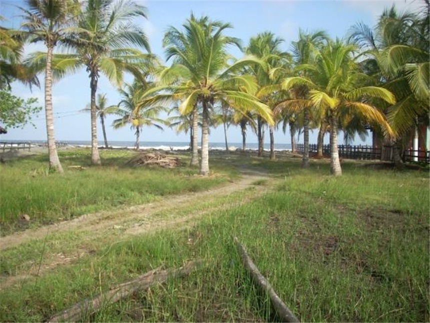 Finca en Venta - Ansicht 4