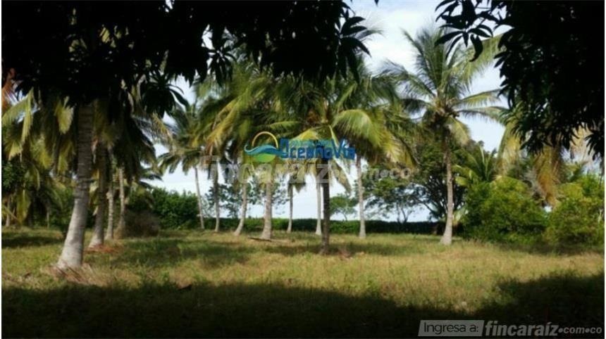 Finca en Venta - Ansicht 3