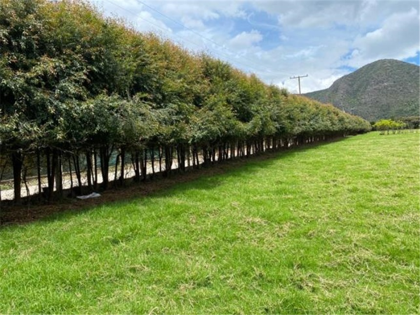 Lote en venta en Cota, 19 m² · foto 3 de 20