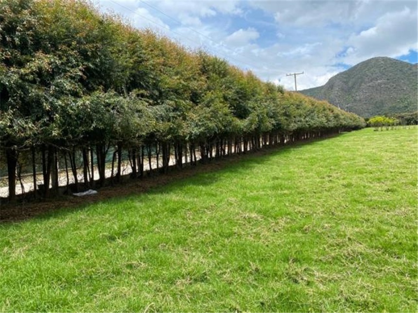 Lote en venta en Cota, 19 m² · foto 16 de 20