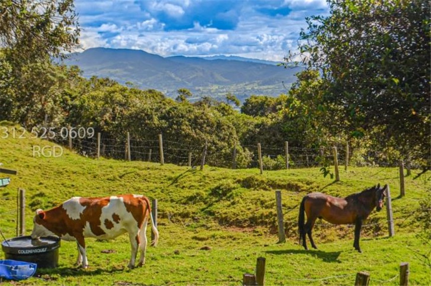Finca en venta en Centro, Sopó · foto 21 de 24