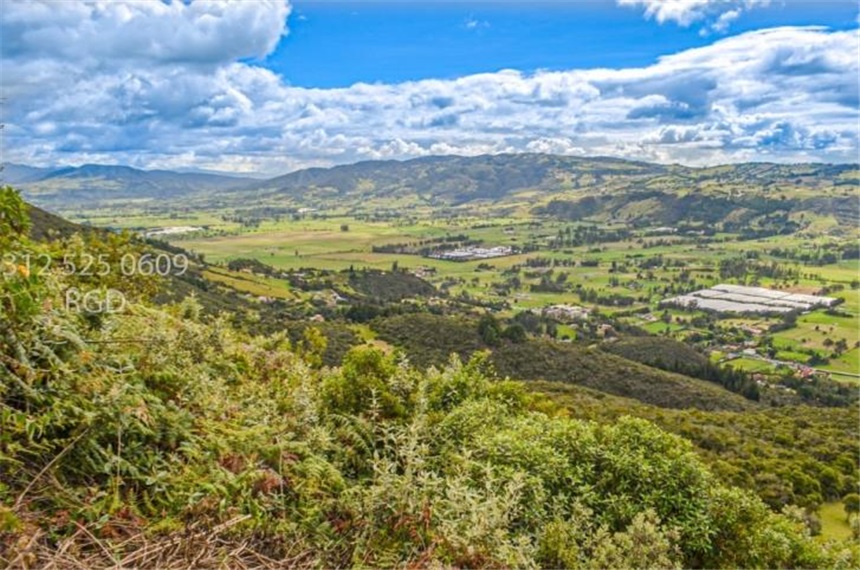 Finca en venta en Centro, Sopó · foto 14 de 24