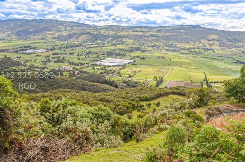 Finca en venta en Centro, Sopó · foto 10 de 24