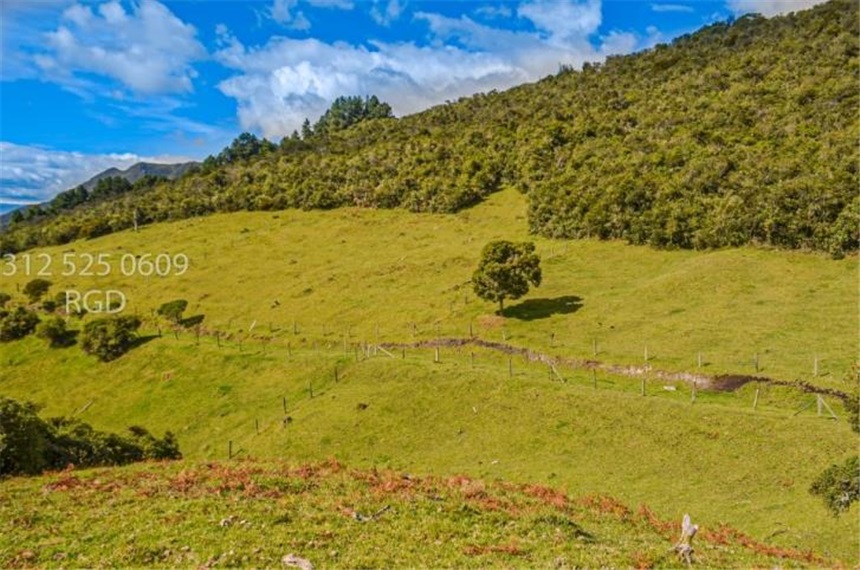 Finca en venta en Centro, Sopó · foto 23 de 24