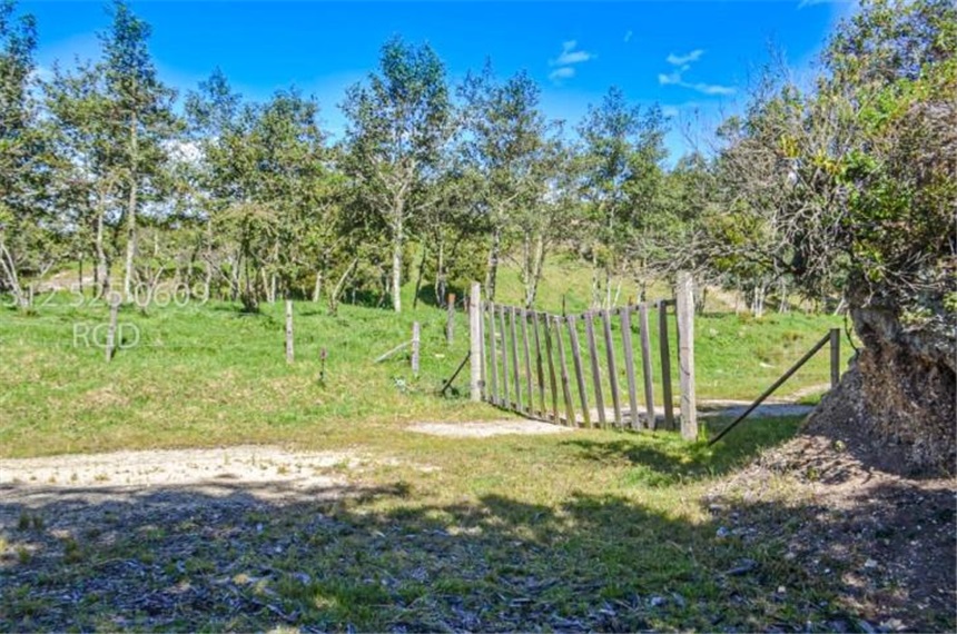 Finca en venta en Centro, Sopó · foto 19 de 24