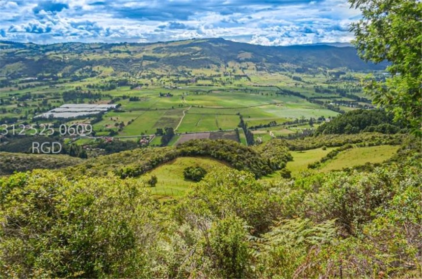 Finca en venta en Centro, Sopó · foto 17 de 24