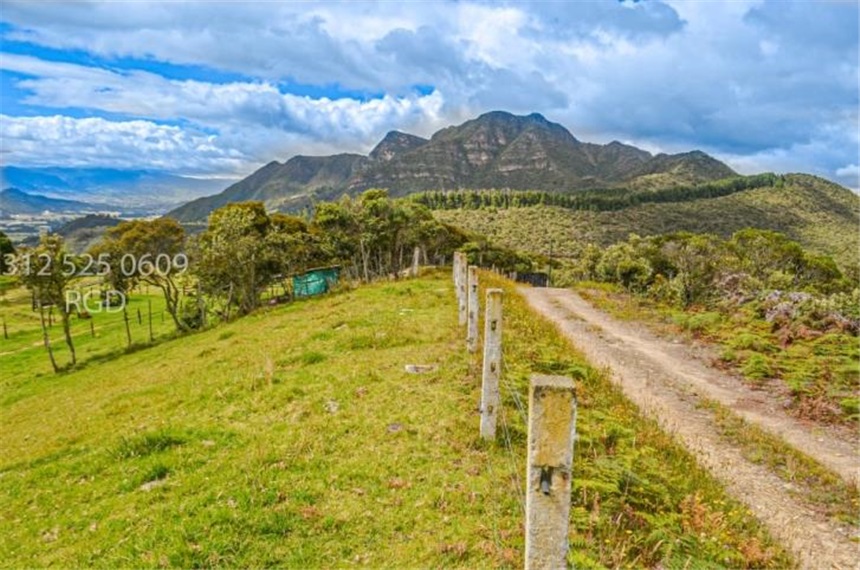 Finca en venta en Centro, Sopó · foto 6 de 24