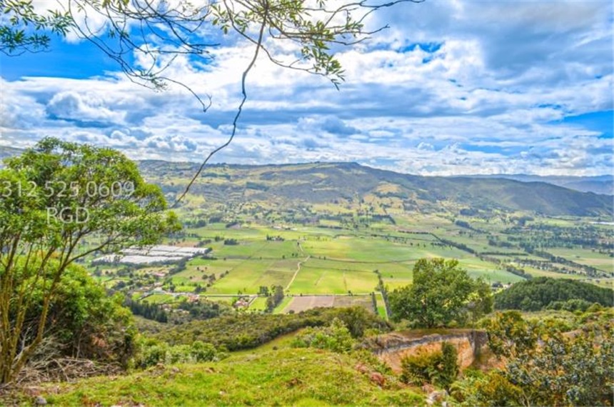 Finca en venta en Centro, Sopó · foto 9 de 24