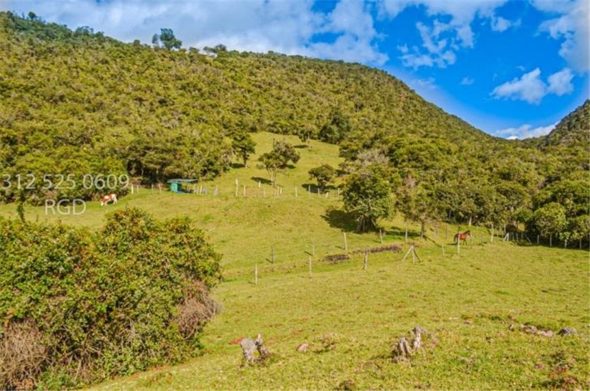 Finca en venta en Centro, Sopó · foto 5 de 24