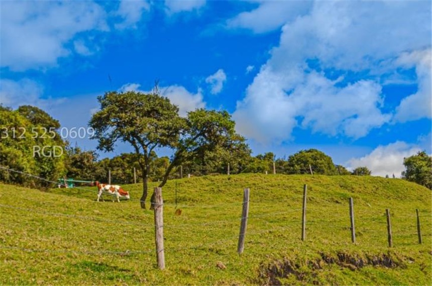 Finca en venta en Centro, Sopó · foto 9 de 24