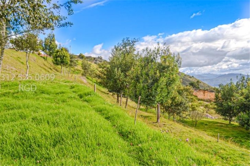 Finca en venta en Centro, Sopó · foto 20 de 24