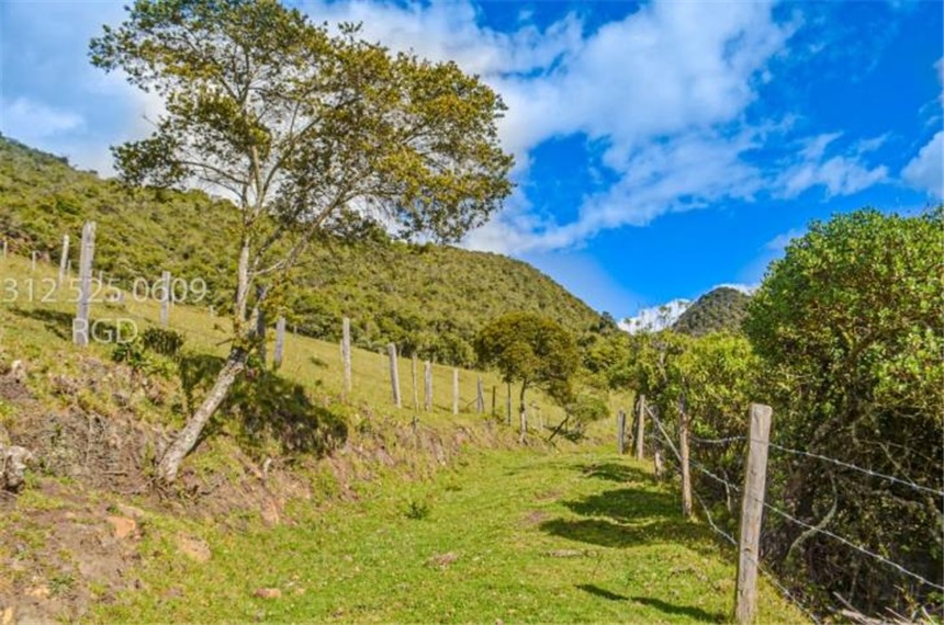 Finca en venta en Centro, Sopó · foto 11 de 24