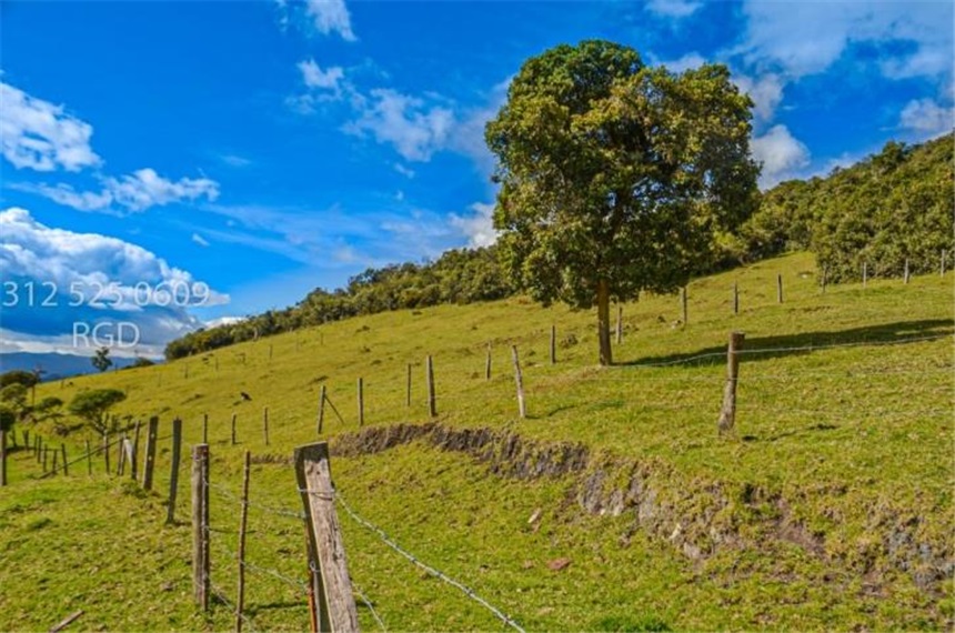 Finca en venta en Centro, Sopó · foto 7 de 24