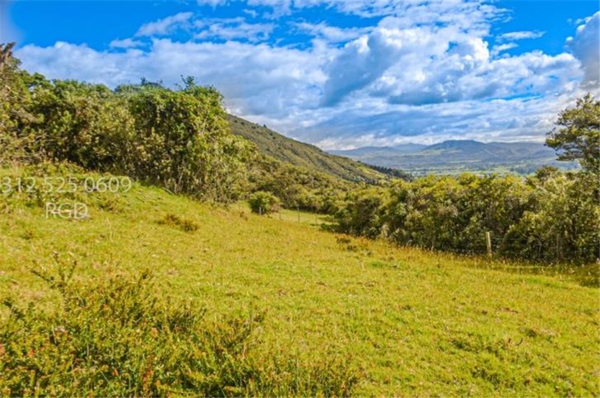 Finca en venta en Centro, Sopó · foto 12 de 24