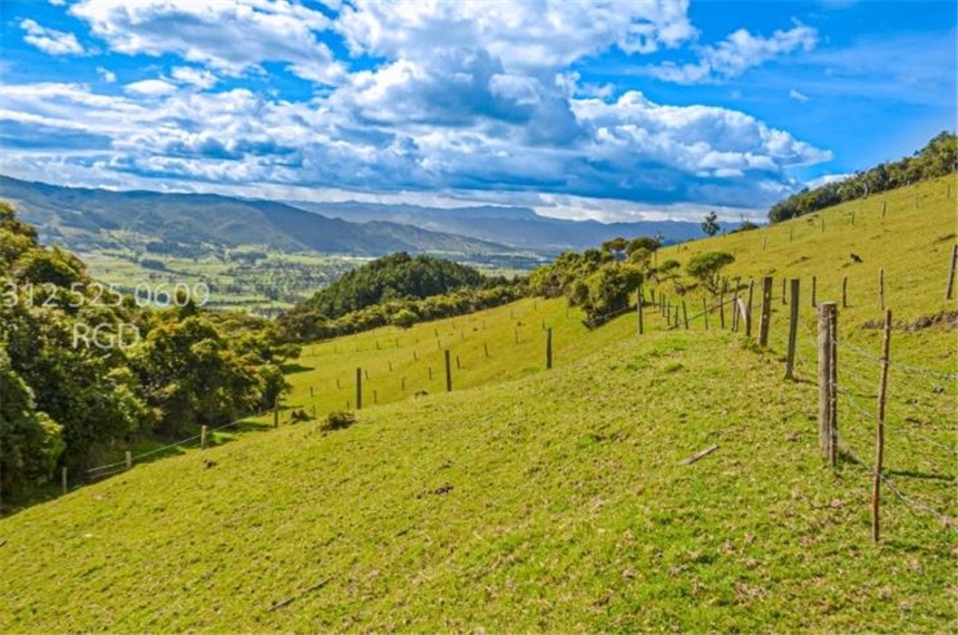 Finca en venta en Centro, Sopó · foto 8 de 24