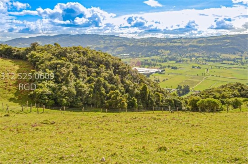 Finca en venta en Centro, Sopó · foto 14 de 24