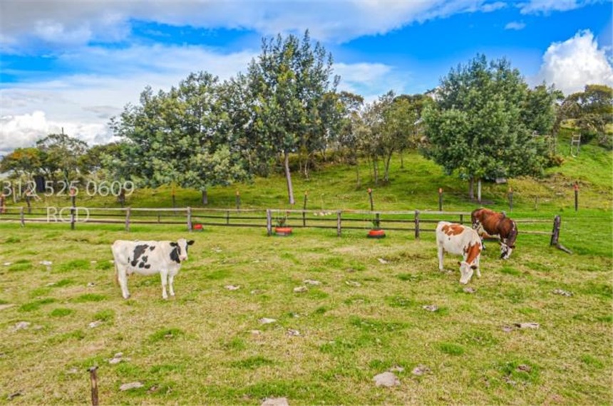 Finca en venta en Centro, Sopó · foto 22 de 24
