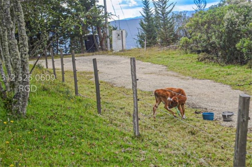 Finca en venta en Centro, Sopó · foto 19 de 24