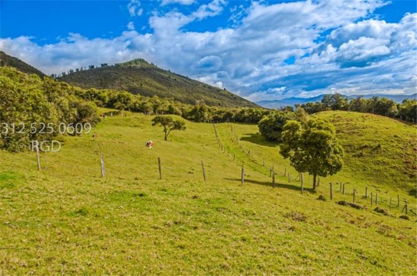 Finca en venta en Centro, Sopó · foto 15 de 24