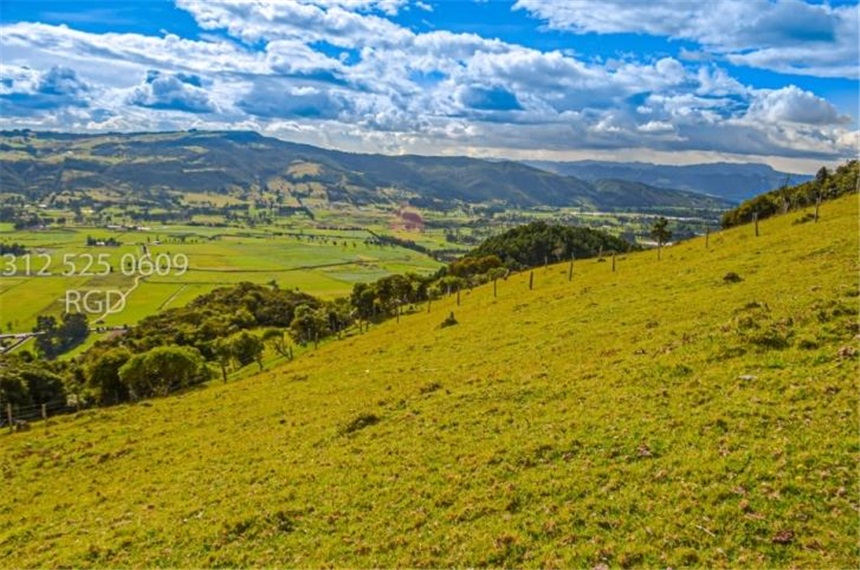 Finca en venta en Centro, Sopó · foto 13 de 24