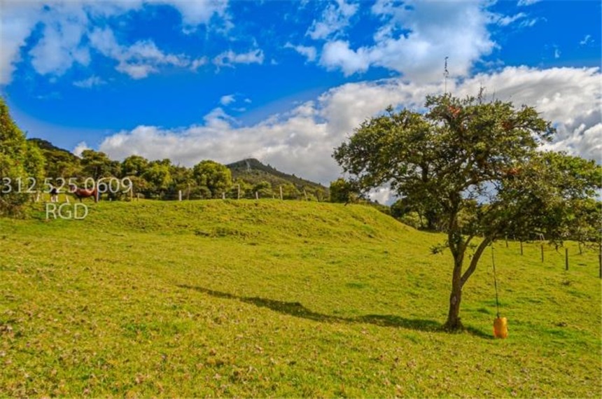 Finca en venta en Centro, Sopó · foto 16 de 24