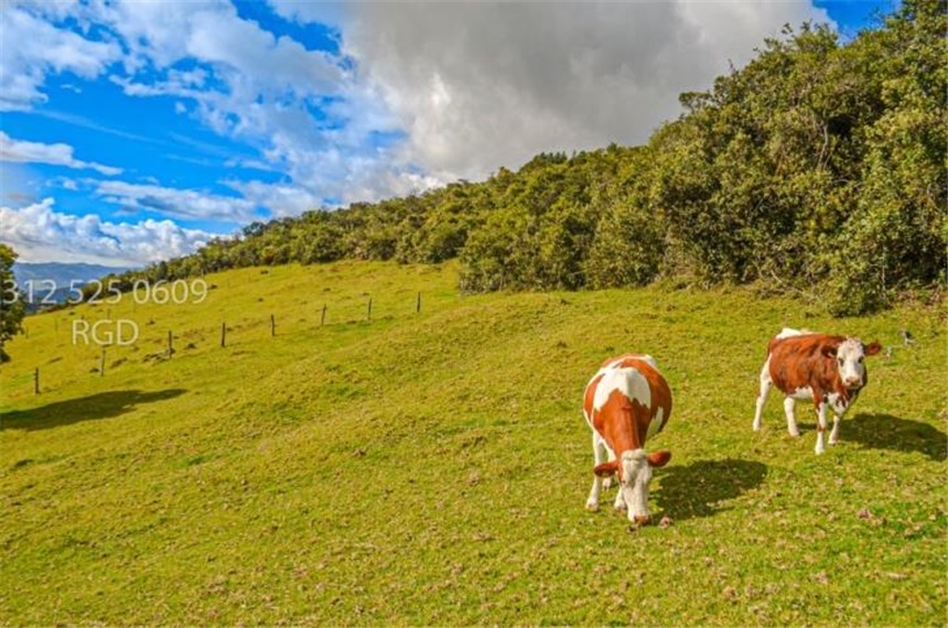 Finca en venta en Centro, Sopó · foto 17 de 24