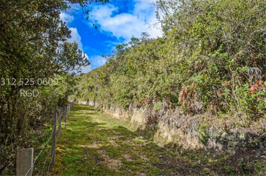 Finca en venta en Centro, Sopó · foto 18 de 24