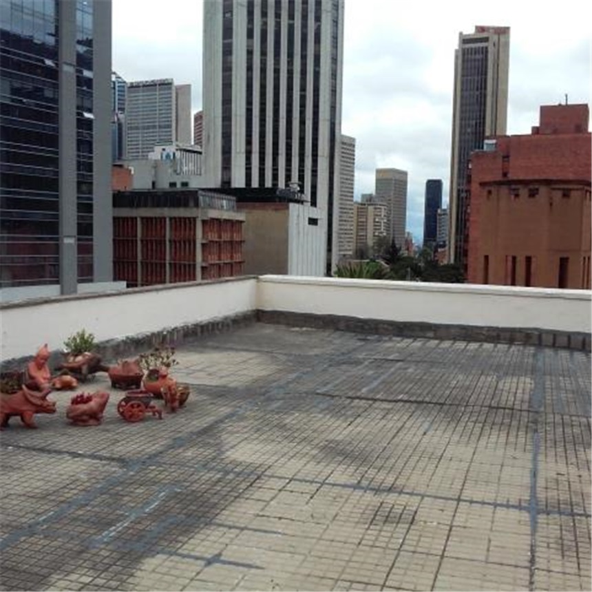Apartamento en venta en Las Nieves, Bogotá · foto 5 de 24