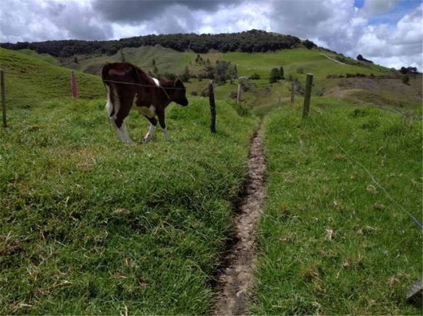 Finca en Venta - Vaade 6