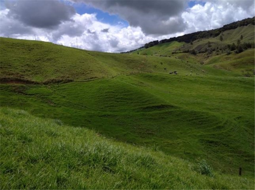 Finca en Venta - Veel