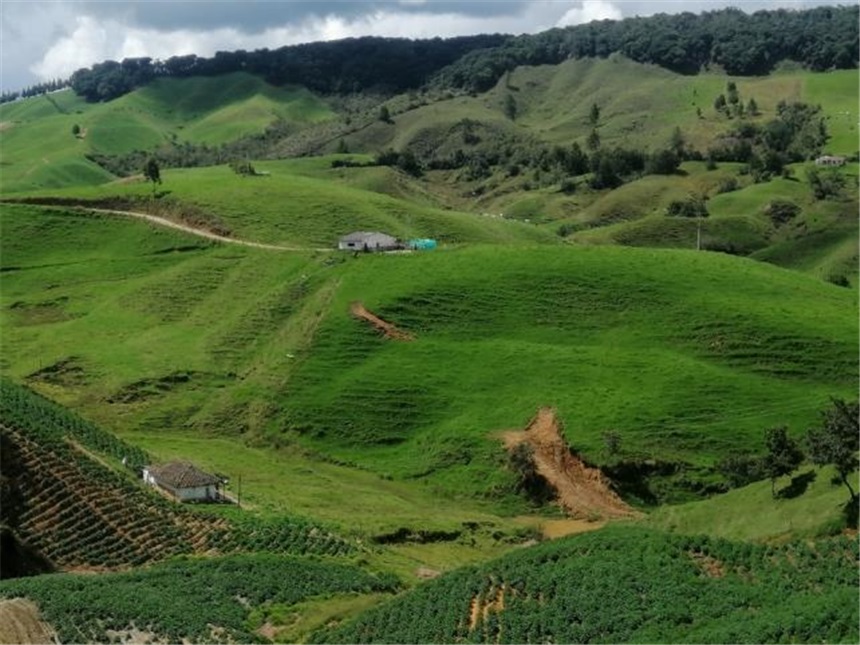 Finca en Venta - Vaade 4